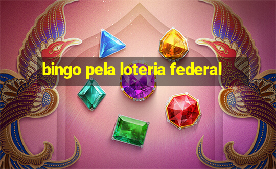 bingo pela loteria federal