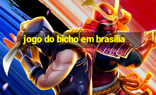 jogo do bicho em brasilia