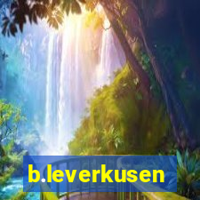 b.leverkusen