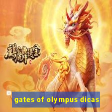 gates of olympus dicas