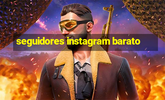 seguidores instagram barato