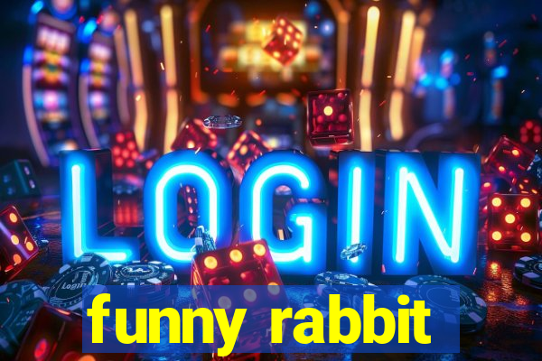 funny rabbit