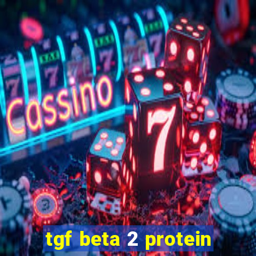 tgf beta 2 protein