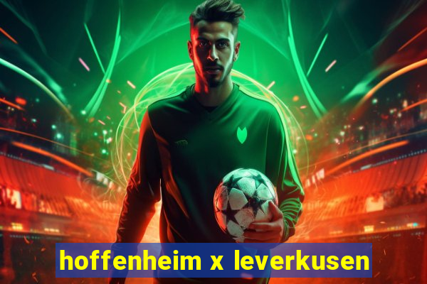 hoffenheim x leverkusen