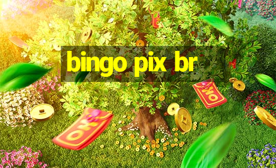 bingo pix br