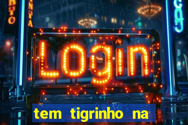 tem tigrinho na bet 365