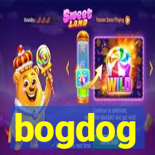 bogdog