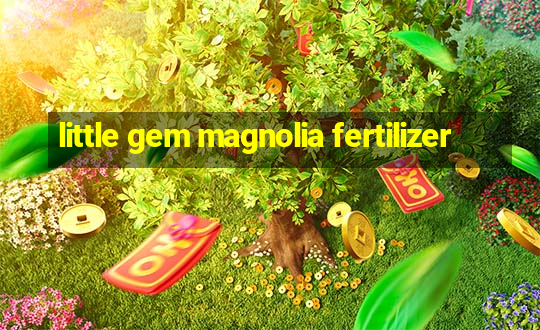 little gem magnolia fertilizer