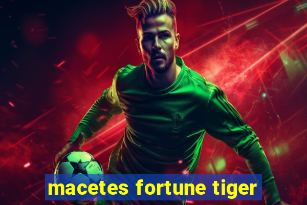 macetes fortune tiger