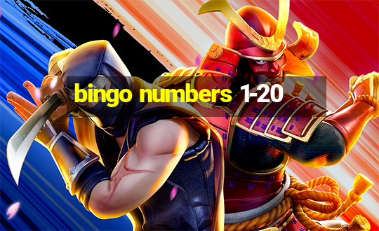 bingo numbers 1-20