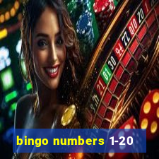 bingo numbers 1-20