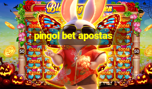 pingol bet apostas