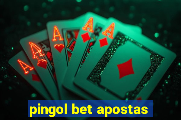 pingol bet apostas