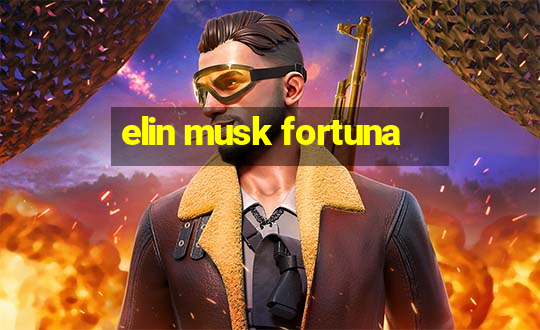 elin musk fortuna