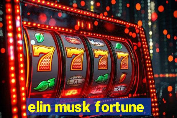 elin musk fortune