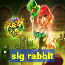 sig rabbit