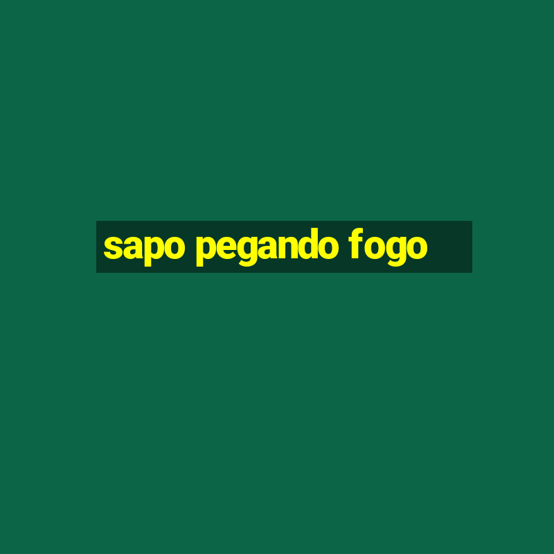 sapo pegando fogo