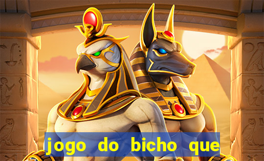 jogo do bicho que da dinheiro