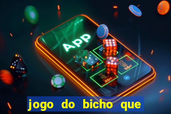 jogo do bicho que da dinheiro