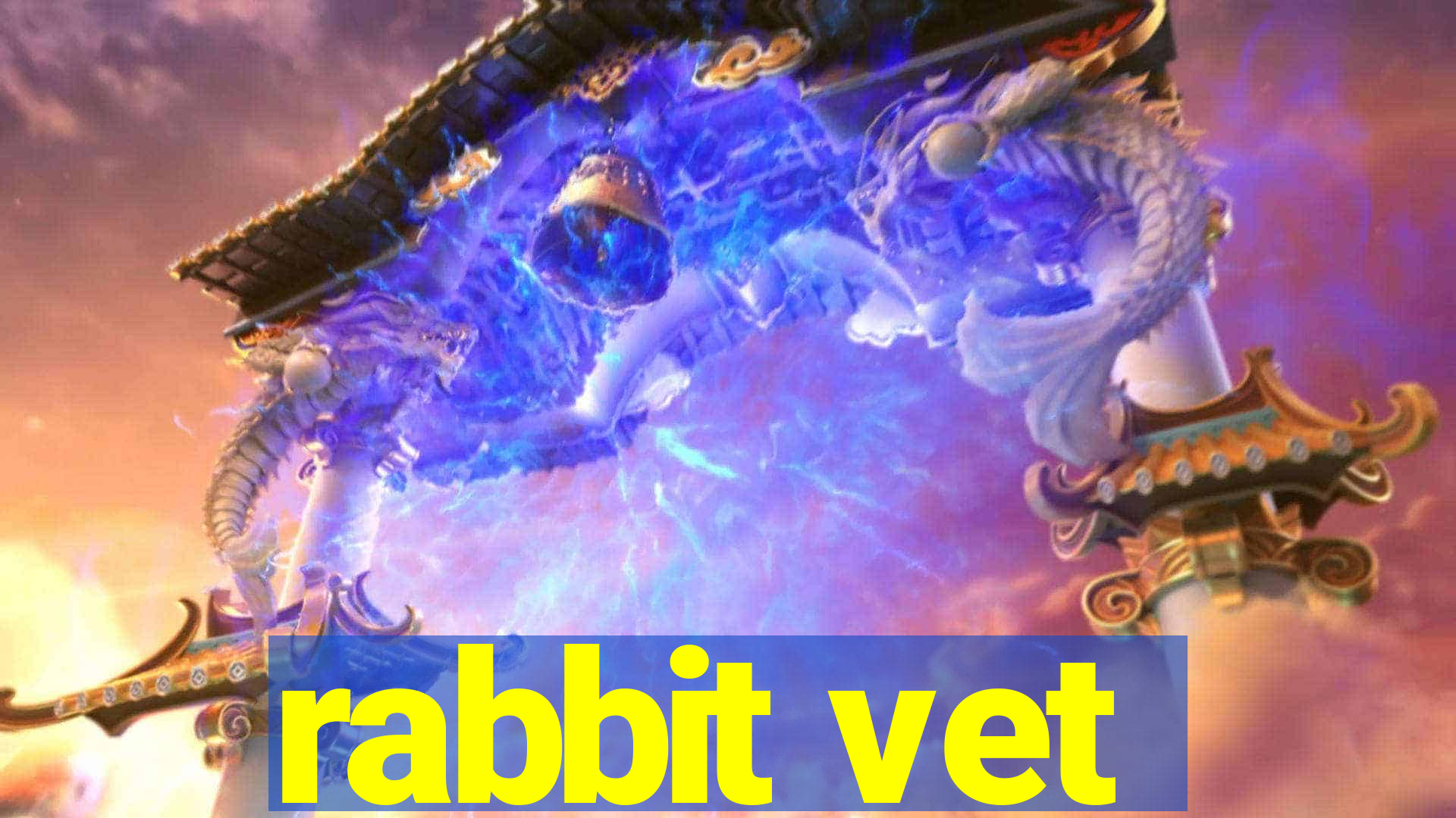 rabbit vet