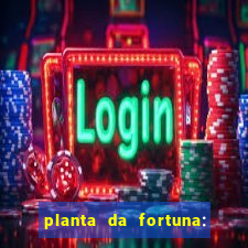 planta da fortuna: como cuidar