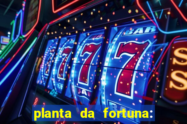 planta da fortuna: como cuidar