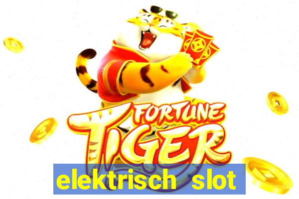 elektrisch slot houten poort