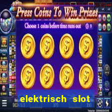 elektrisch slot houten poort