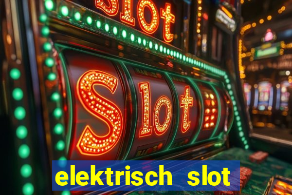 elektrisch slot houten poort