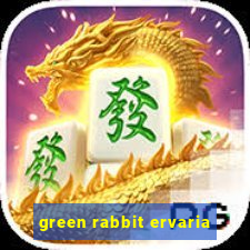 green rabbit ervaria