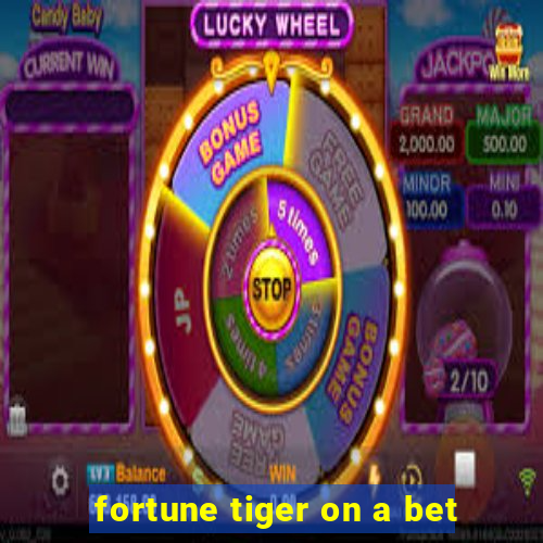 fortune tiger on a bet