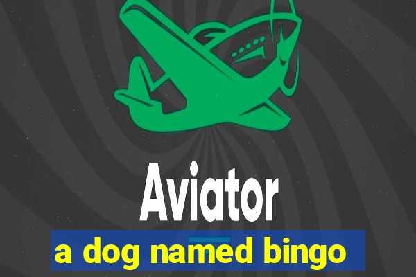 a dog named bingo