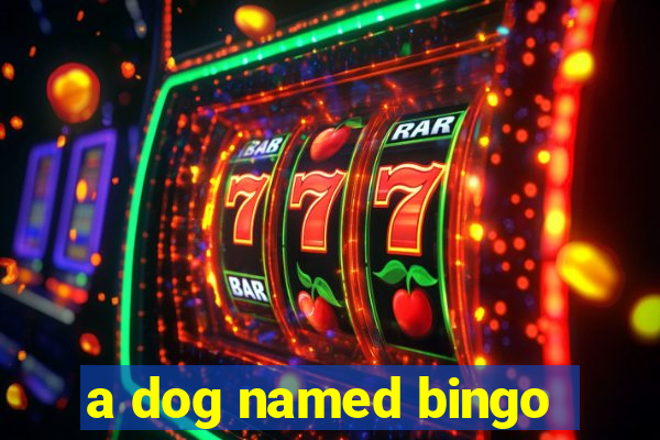 a dog named bingo