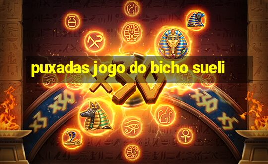 puxadas jogo do bicho sueli