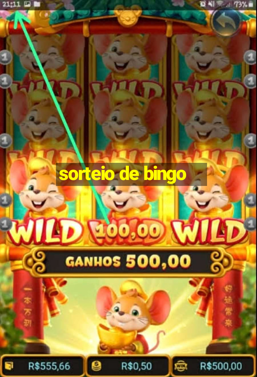 sorteio de bingo