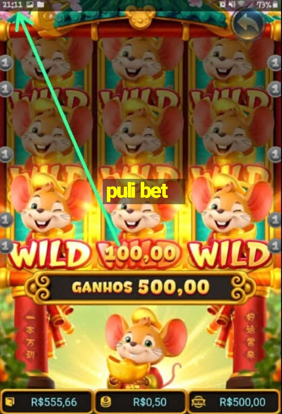 puli bet