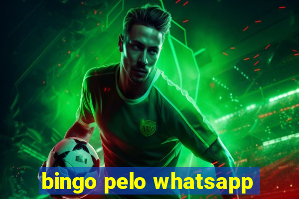 bingo pelo whatsapp