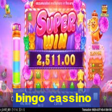 bingo cassino