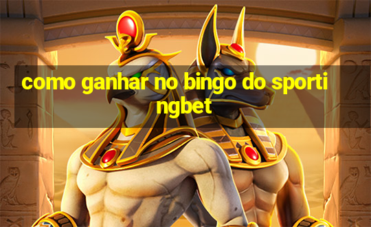 como ganhar no bingo do sportingbet