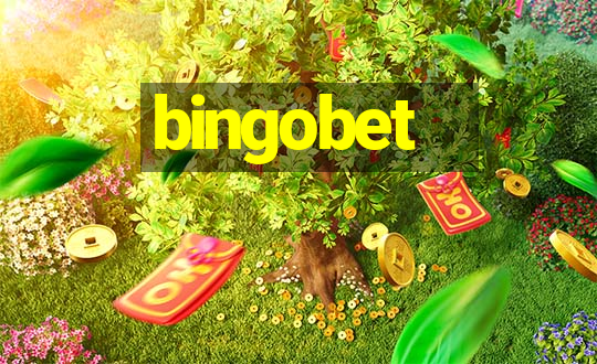 bingobet