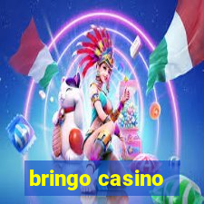 bringo casino