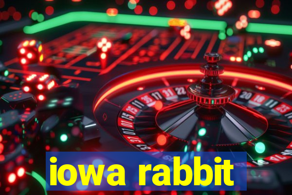 iowa rabbit