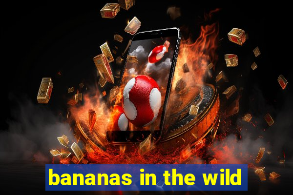 bananas in the wild