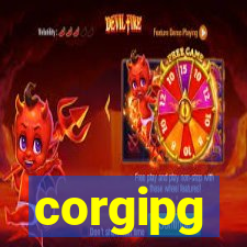 corgipg