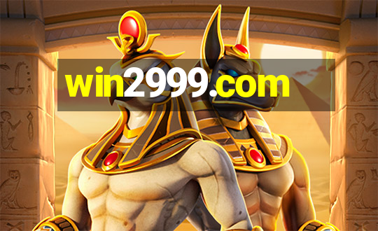 win2999.com