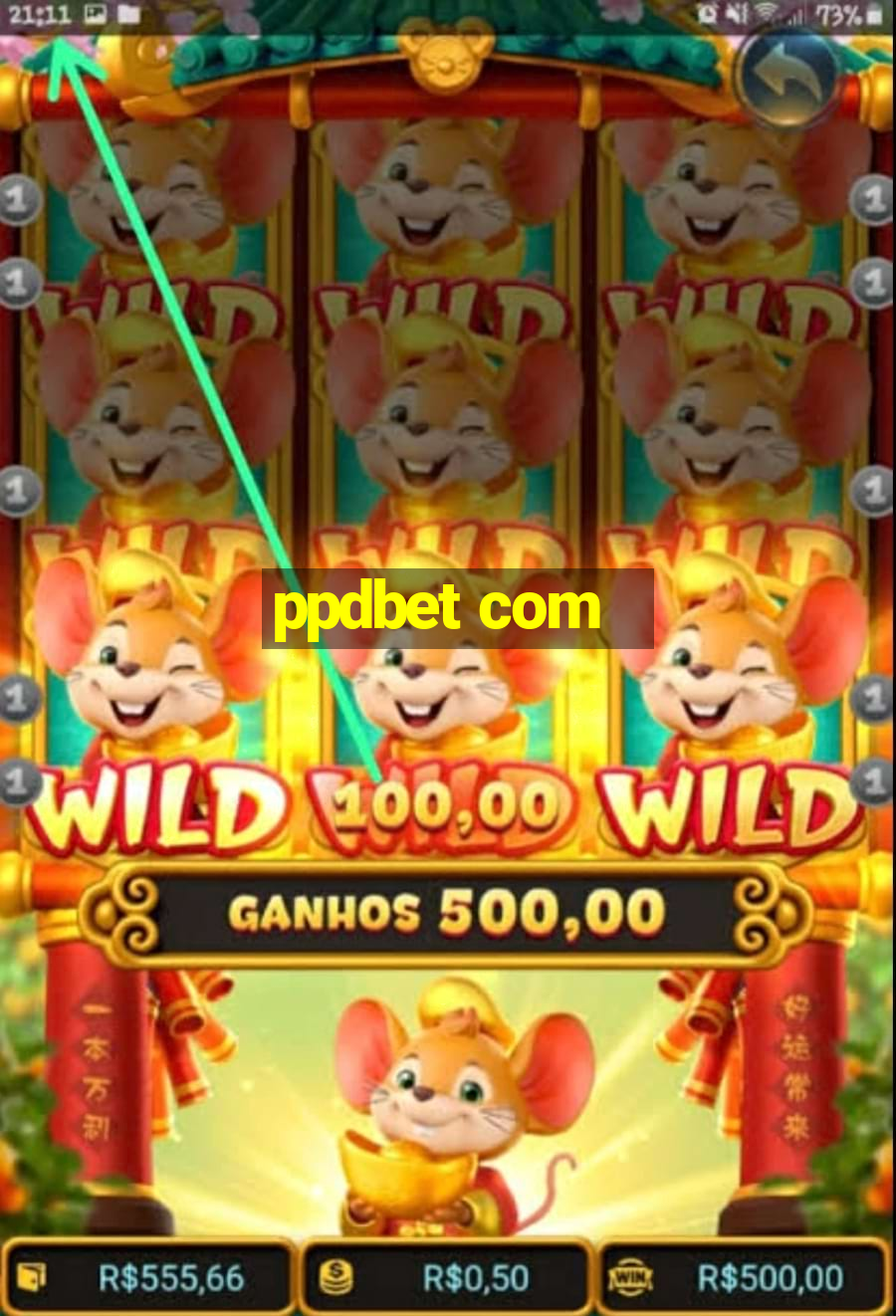 ppdbet com