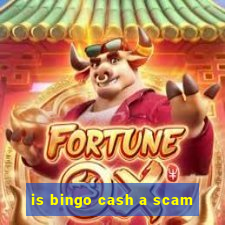 is bingo cash a scam