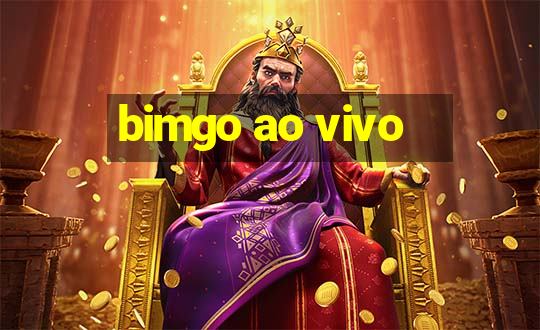 bimgo ao vivo