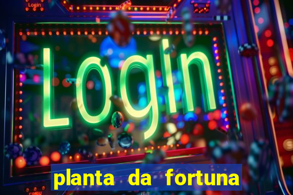 planta da fortuna e felicidade