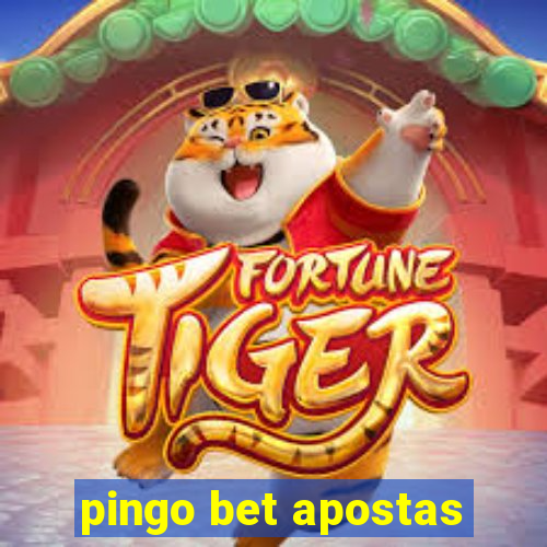 pingo bet apostas